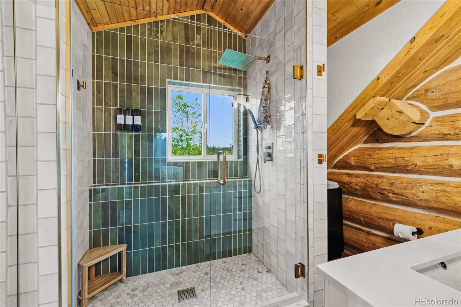 MLS Image #3 for 847  palomino road,jefferson, Colorado