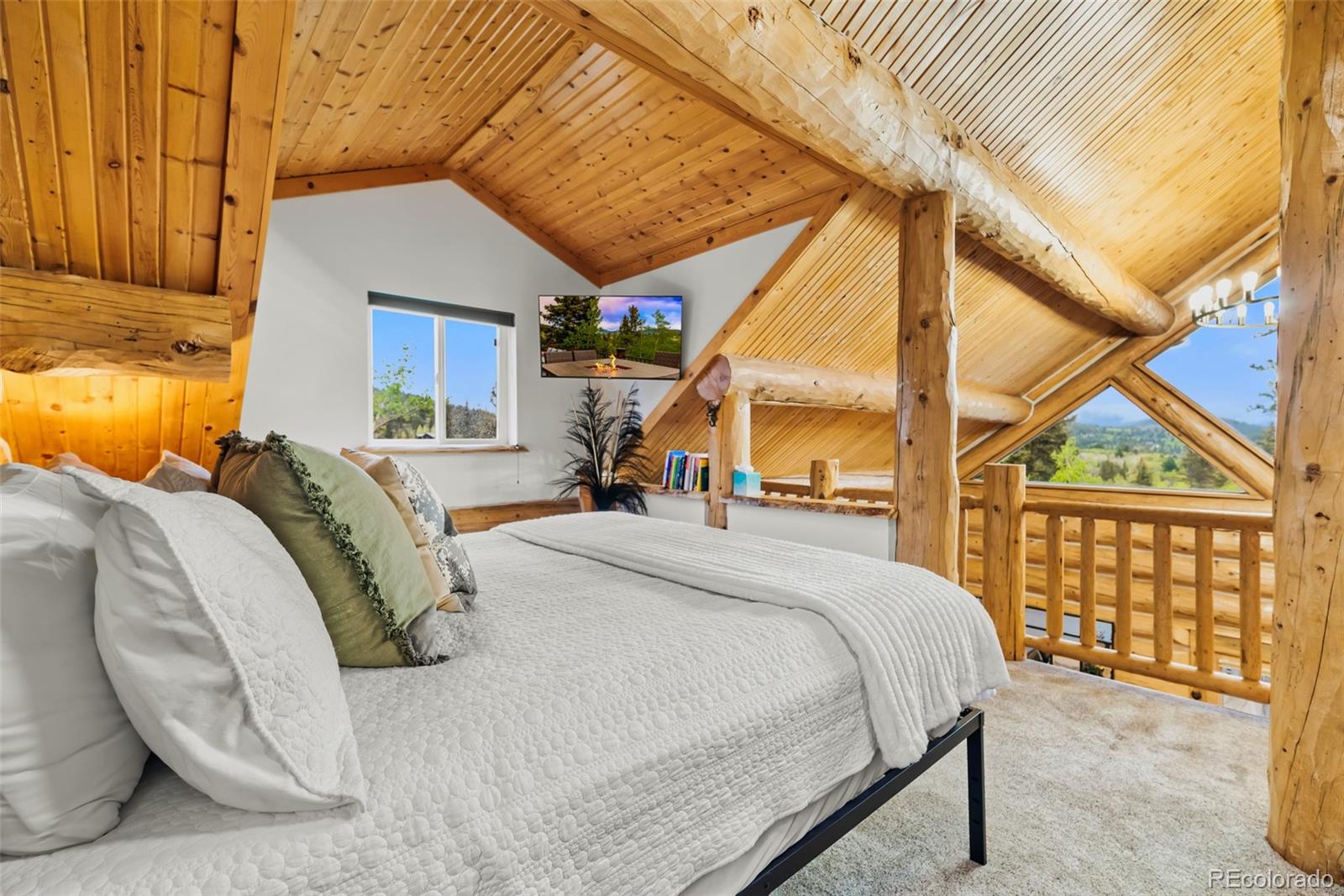 MLS Image #30 for 847  palomino road,jefferson, Colorado