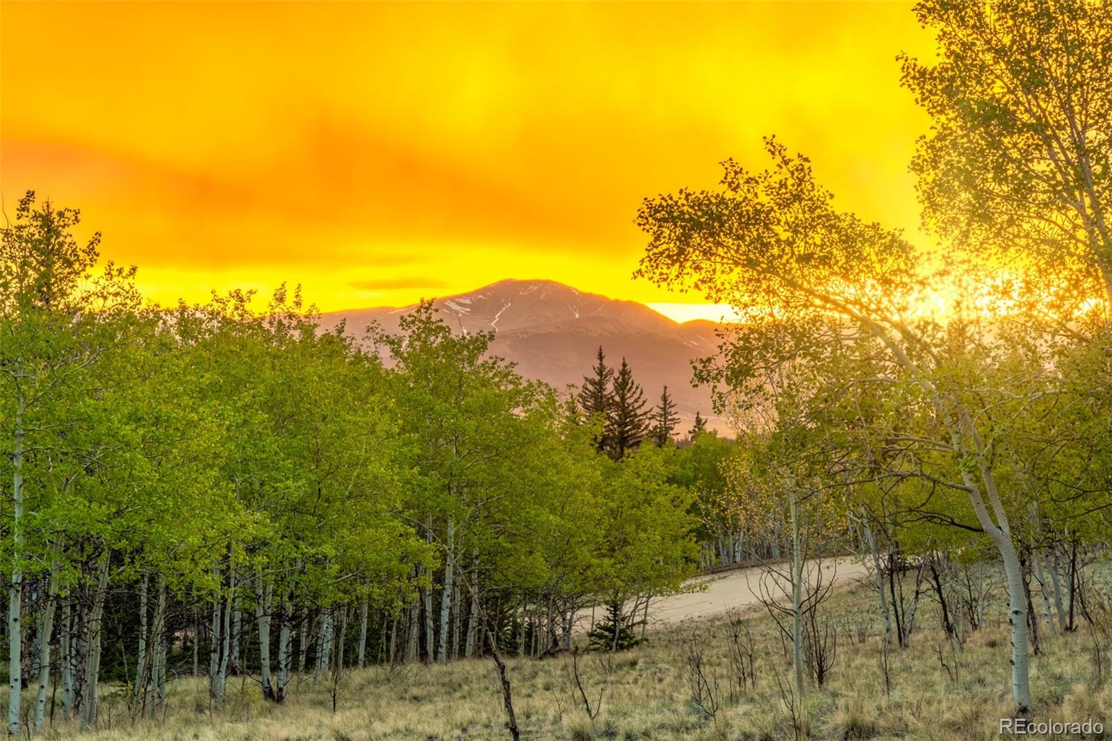 MLS Image #46 for 847  palomino road,jefferson, Colorado