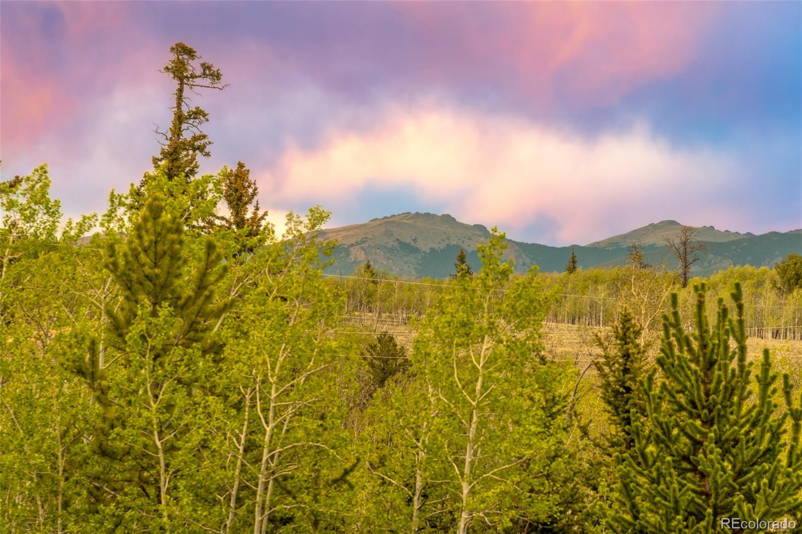 MLS Image #47 for 847  palomino road,jefferson, Colorado