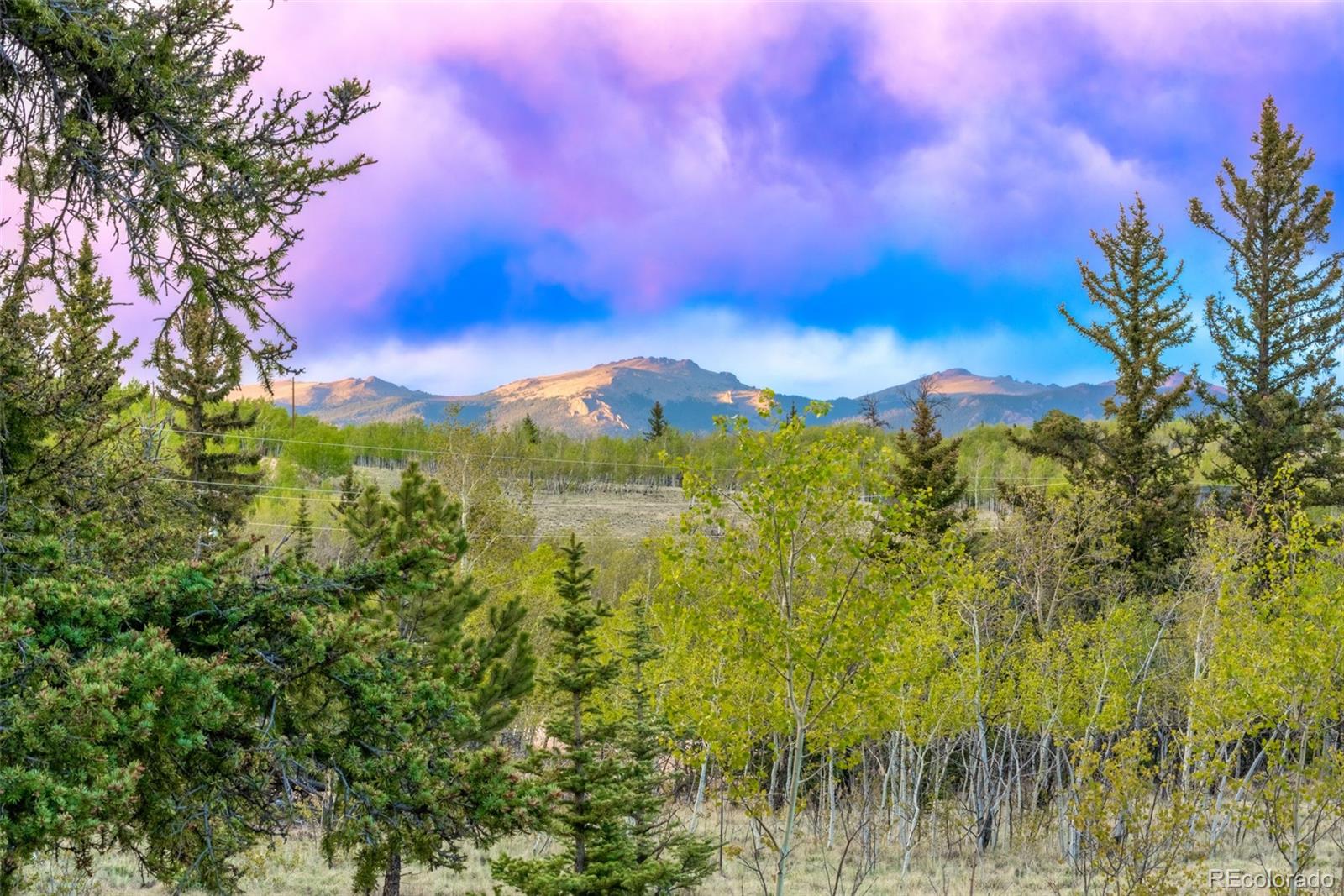 MLS Image #48 for 847  palomino road,jefferson, Colorado