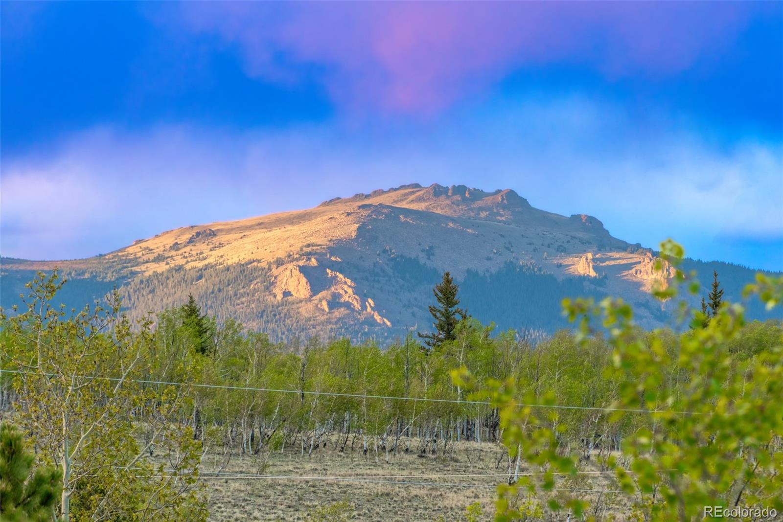 MLS Image #49 for 847  palomino road,jefferson, Colorado