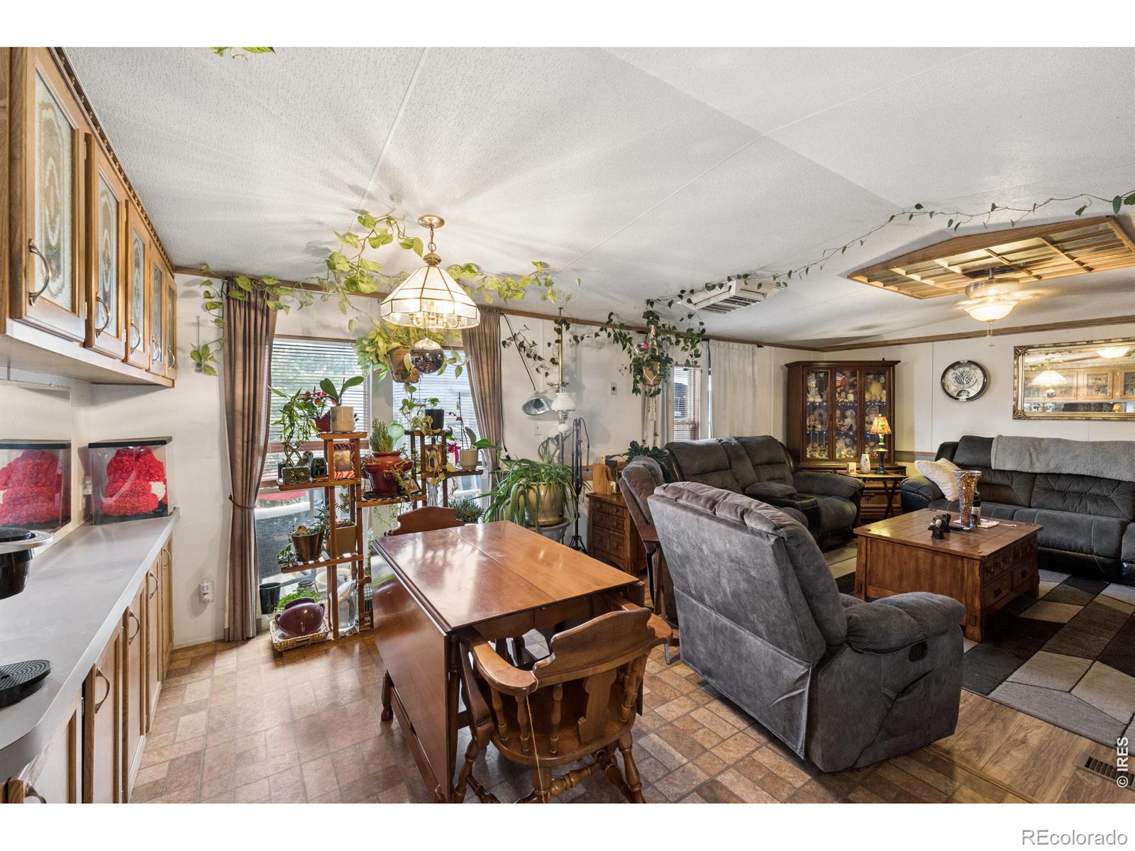 MLS Image #21 for 9048  orleans street,denver, Colorado