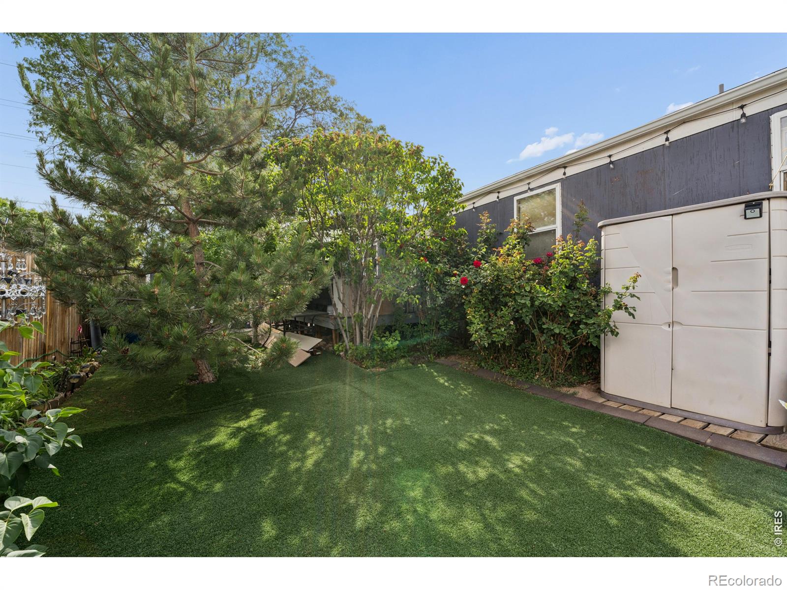 MLS Image #3 for 9048  orleans street,denver, Colorado