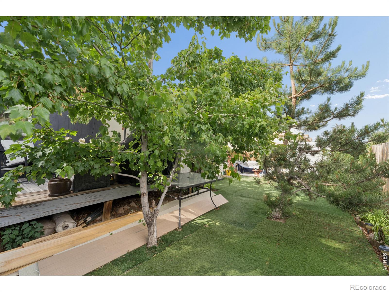 MLS Image #4 for 9048  orleans street,denver, Colorado