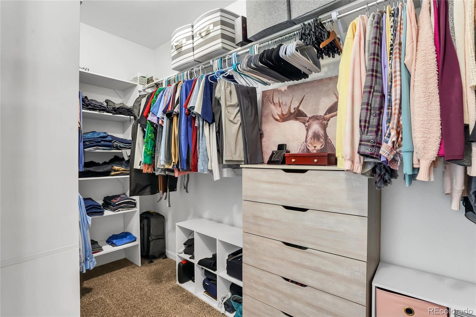 MLS Image #21 for 6511  leathers lane,parker, Colorado