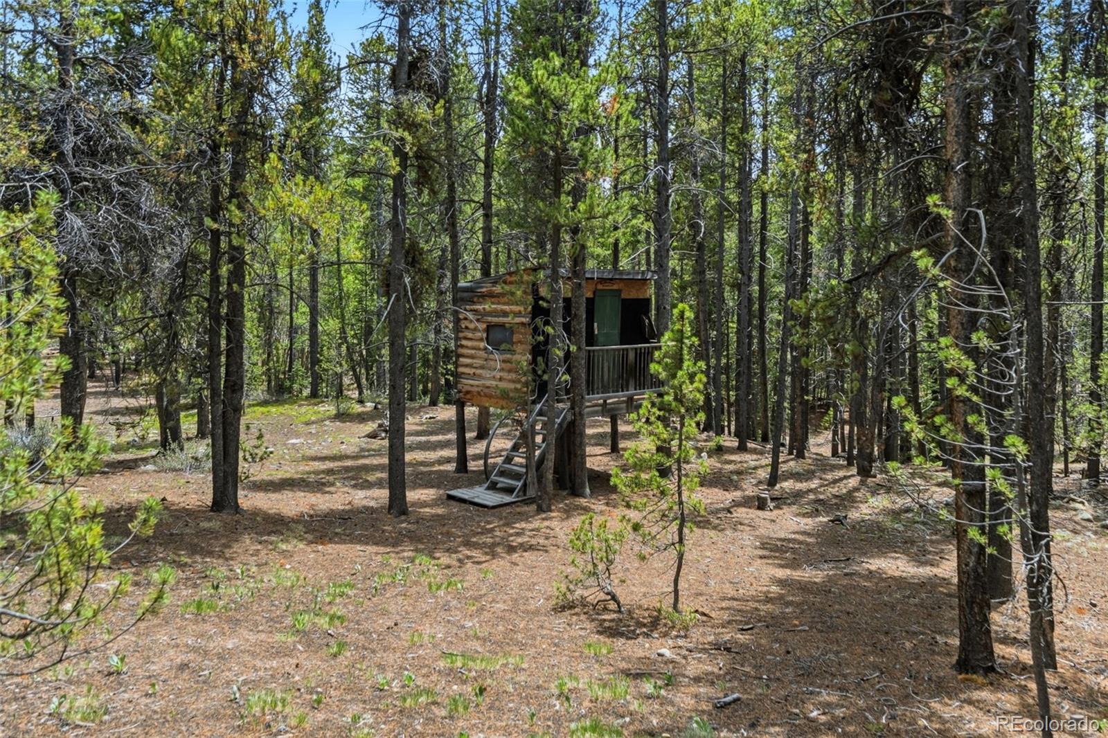 MLS Image #37 for 2506  cr-1 ,fairplay, Colorado