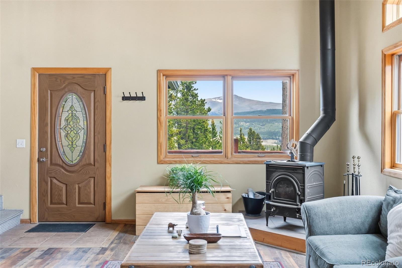 MLS Image #4 for 2506  cr-1 ,fairplay, Colorado