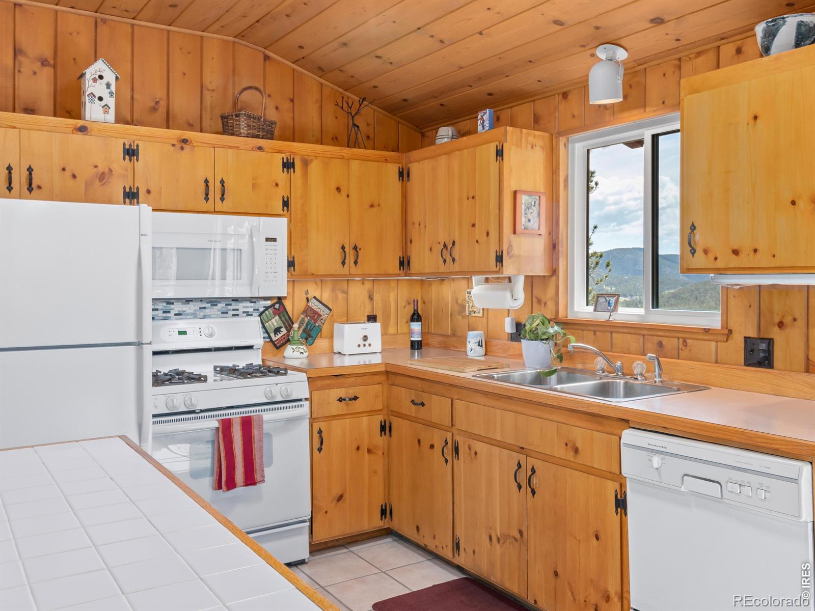 MLS Image #11 for 839  ski road,allenspark, Colorado