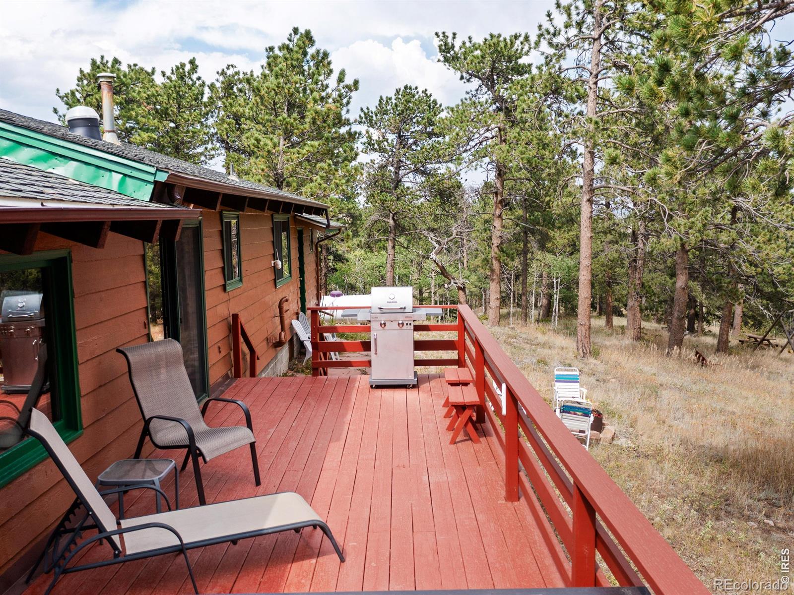 MLS Image #15 for 839  ski road,allenspark, Colorado