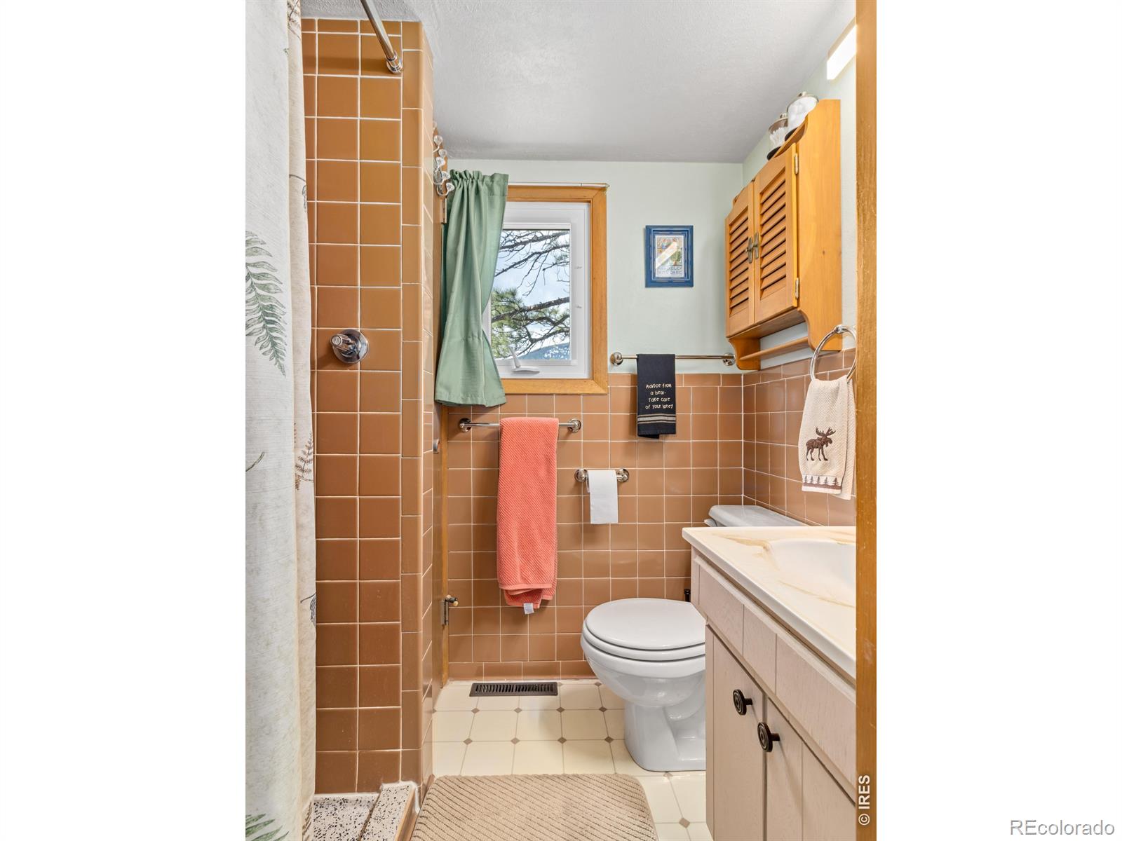 MLS Image #27 for 839  ski road,allenspark, Colorado