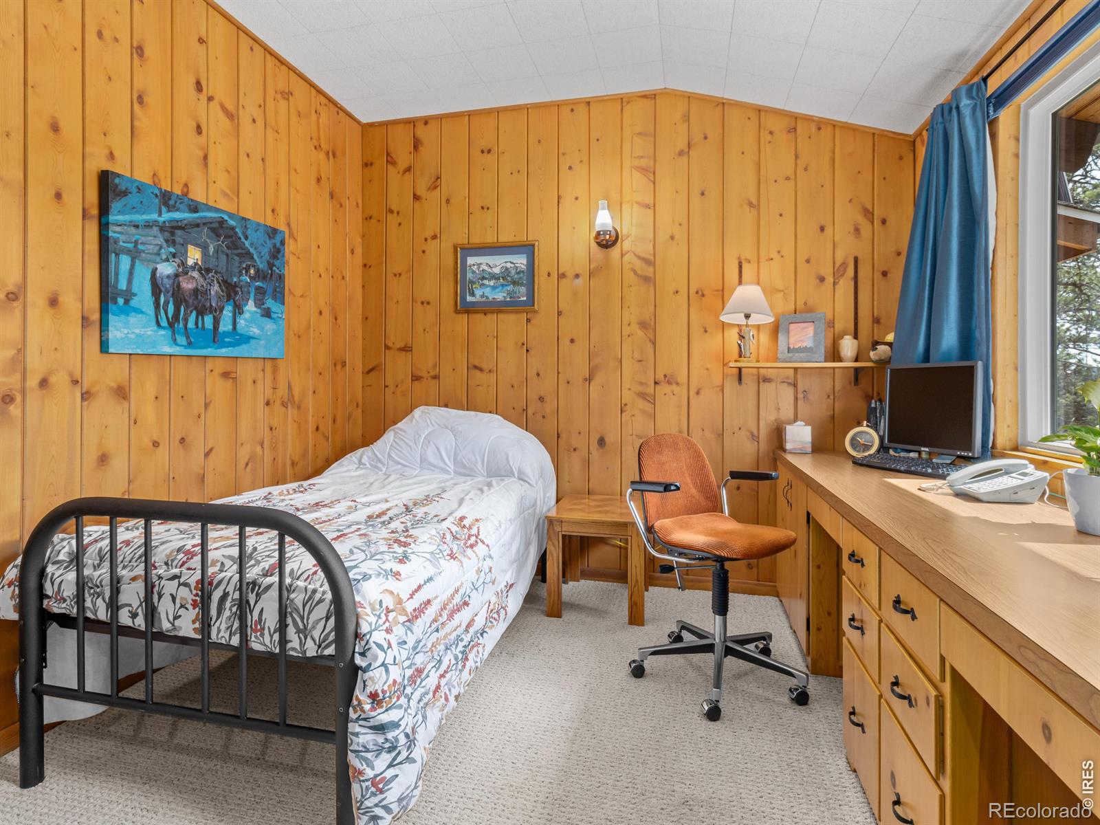 MLS Image #29 for 839  ski road,allenspark, Colorado