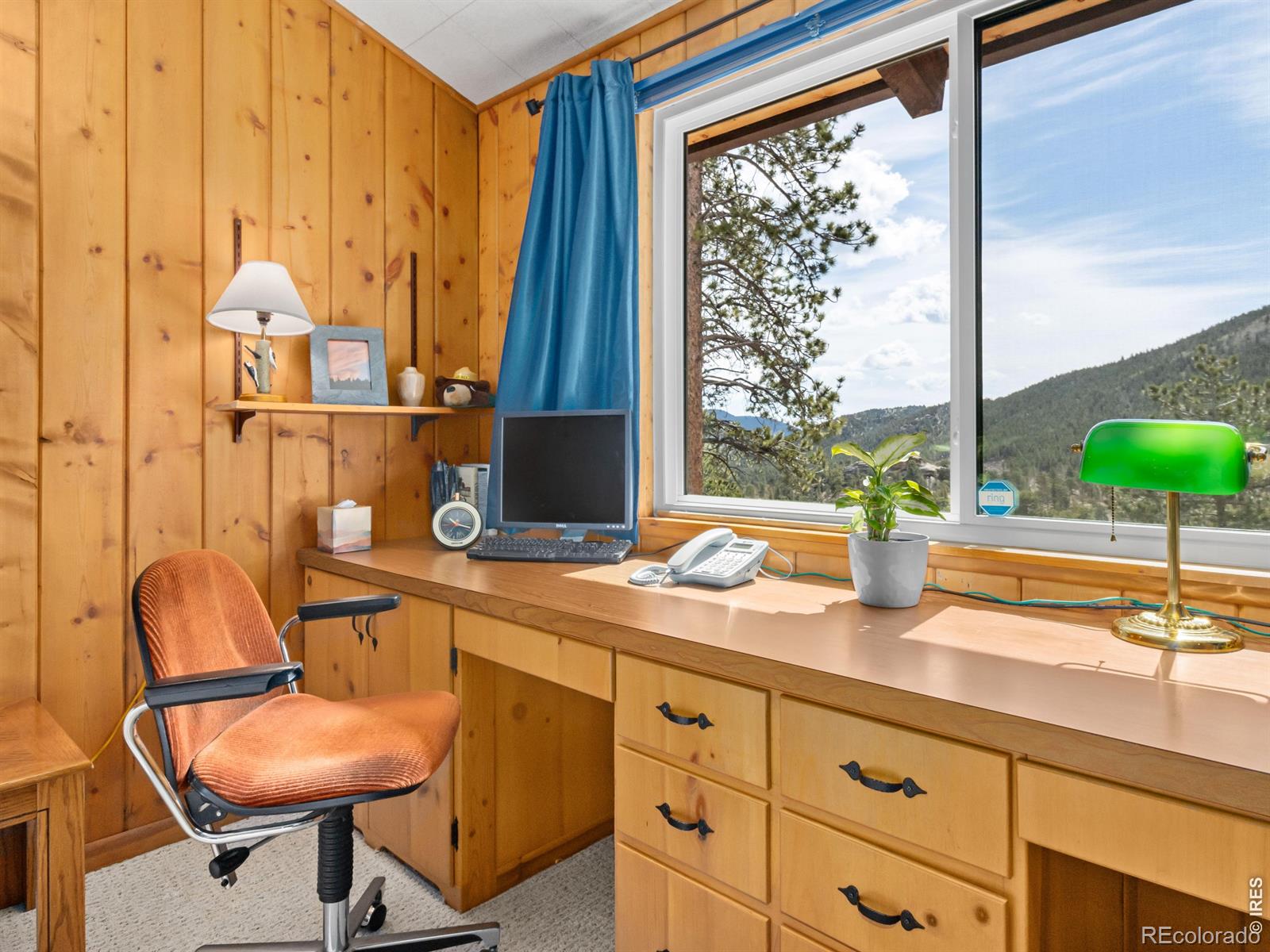 MLS Image #30 for 839  ski road,allenspark, Colorado