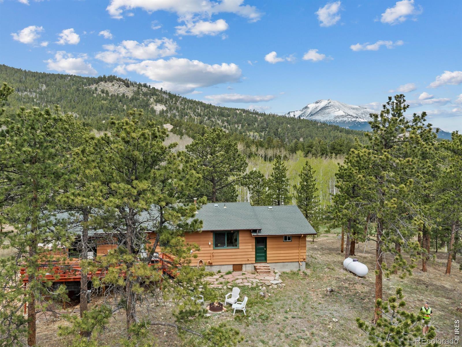 MLS Image #39 for 839  ski road,allenspark, Colorado