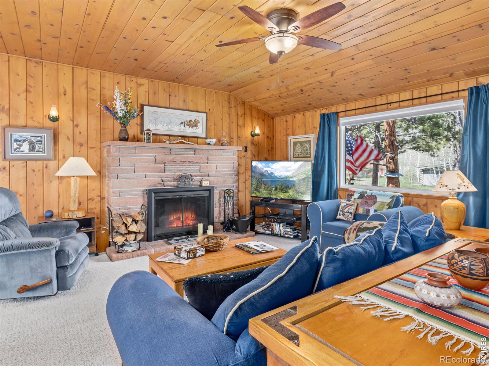 MLS Image #5 for 839  ski road,allenspark, Colorado
