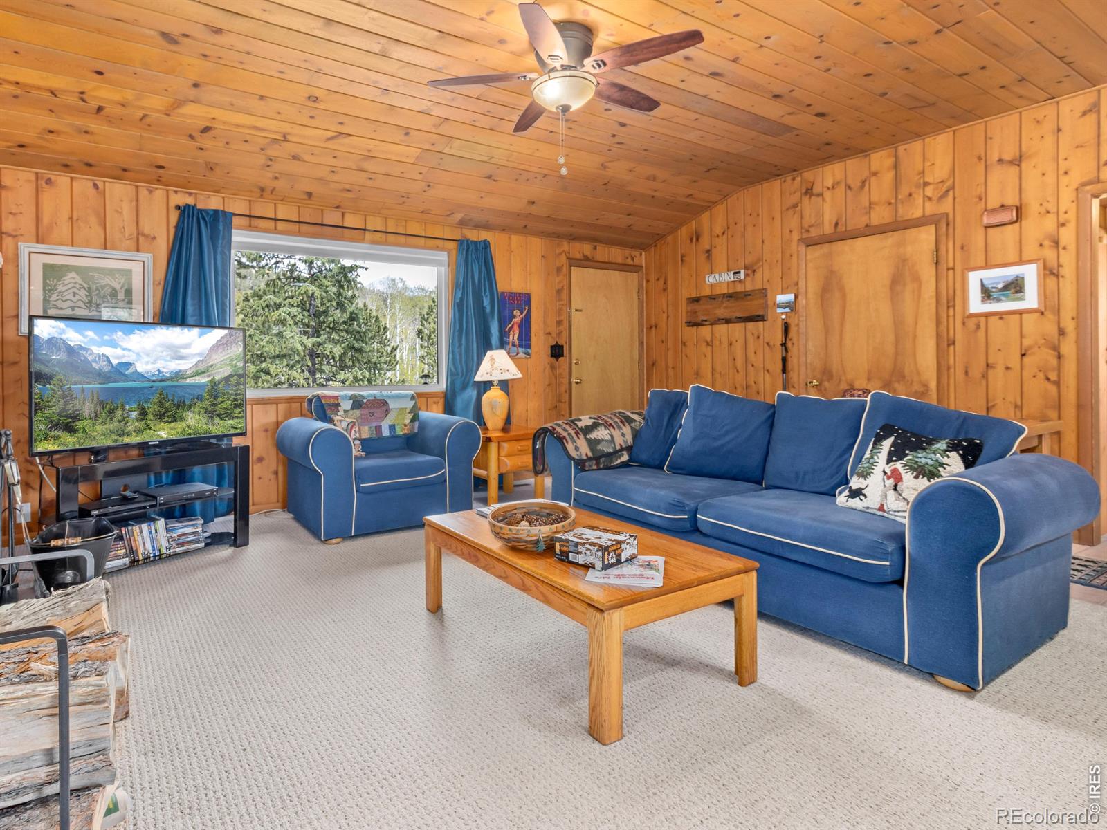 MLS Image #6 for 839  ski road,allenspark, Colorado