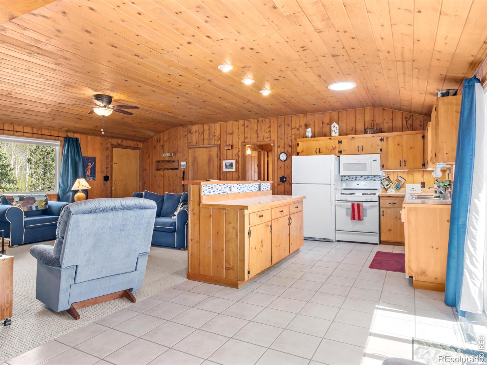 MLS Image #7 for 839  ski road,allenspark, Colorado