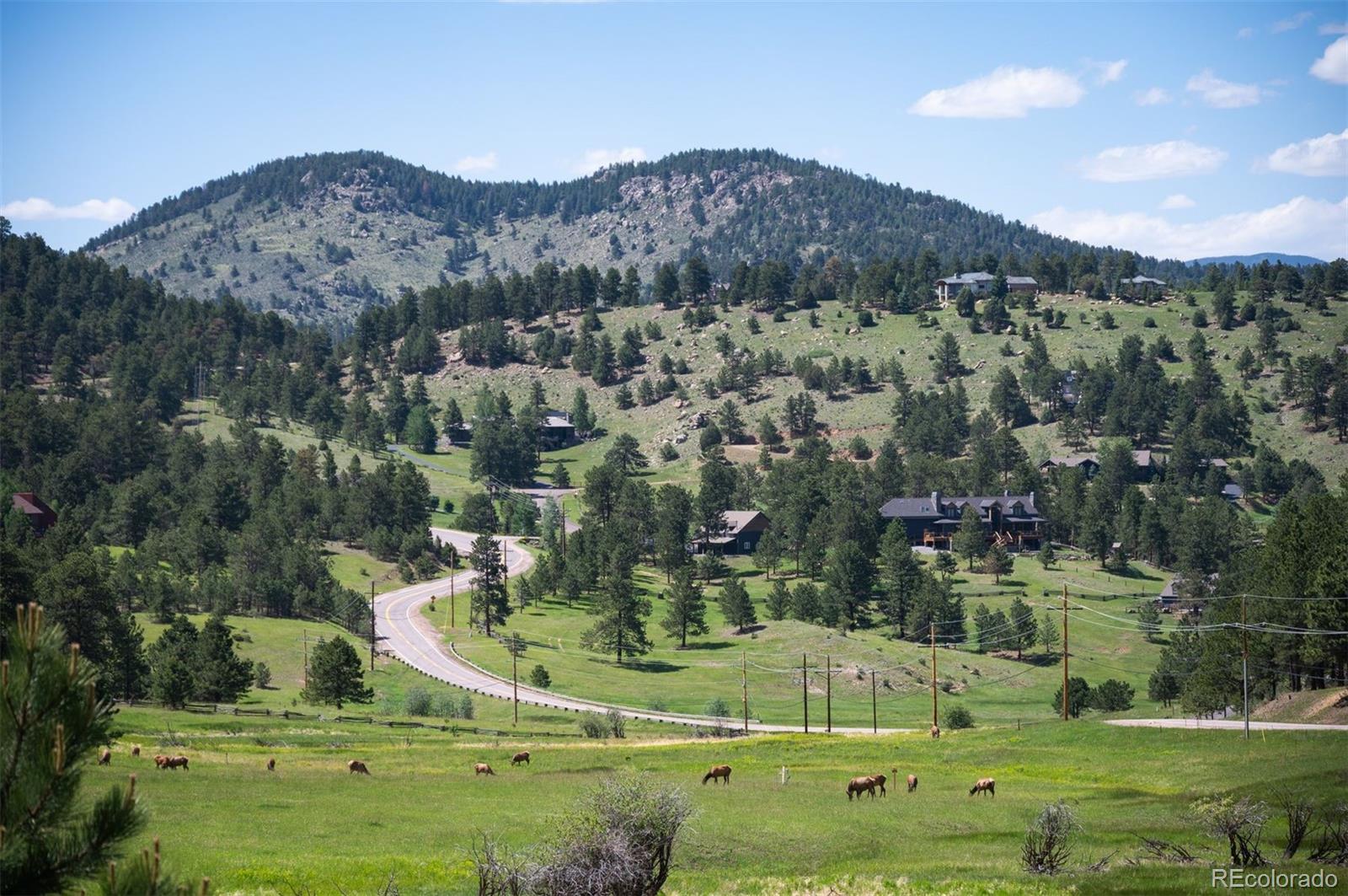 MLS Image #34 for 32843  deep forest road,evergreen, Colorado