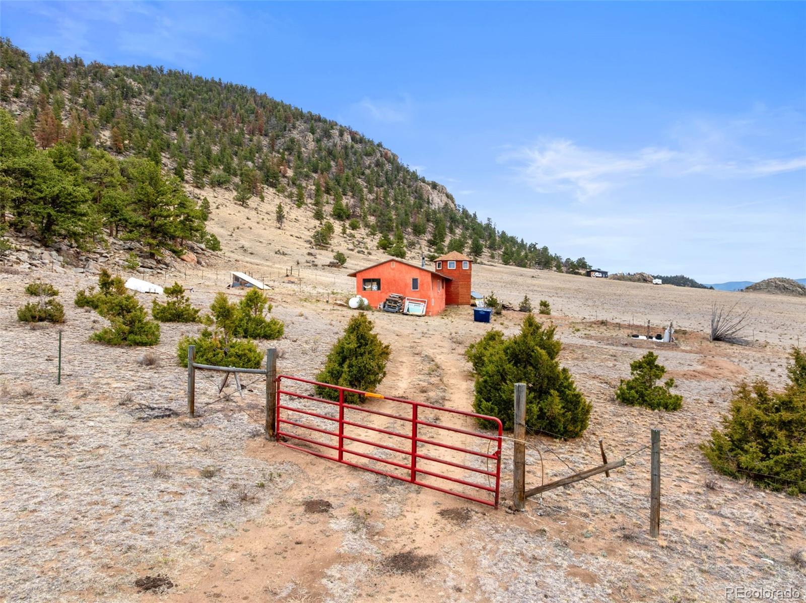 MLS Image #16 for 2030  puma hills road,lake george, Colorado