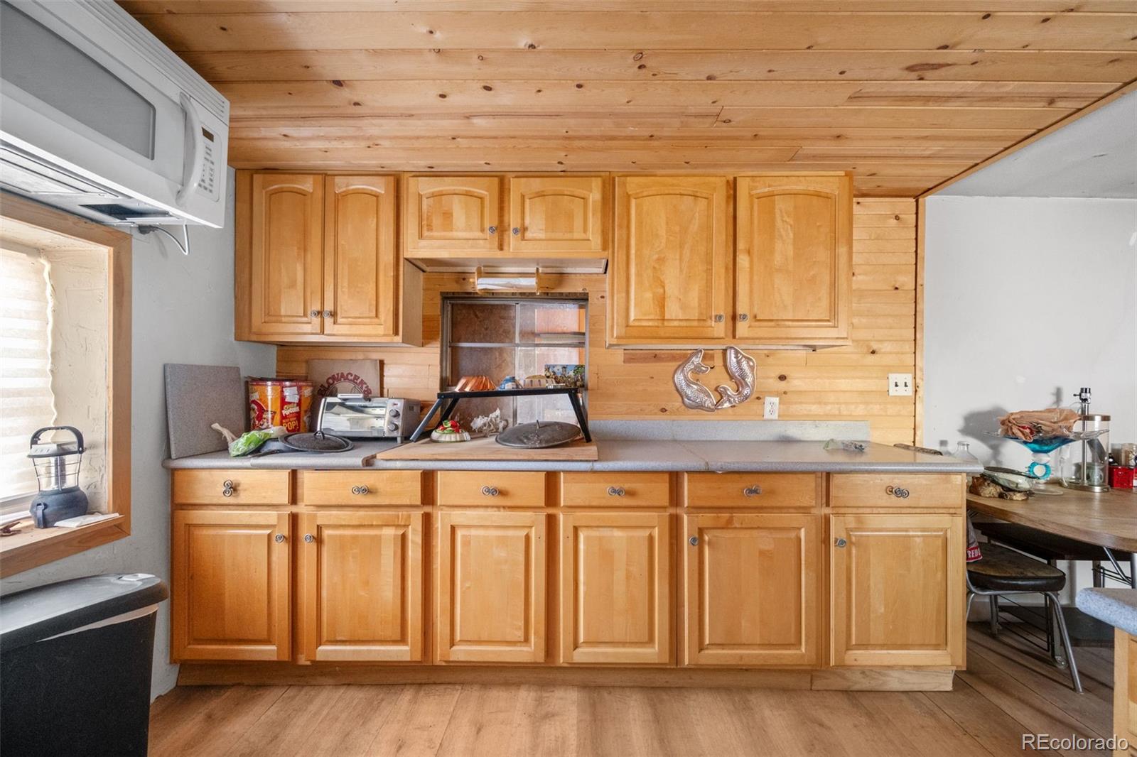 MLS Image #9 for 2030  puma hills road,lake george, Colorado