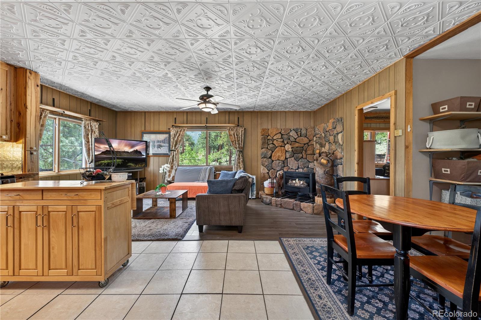 MLS Image #10 for 256  houston street,bailey, Colorado