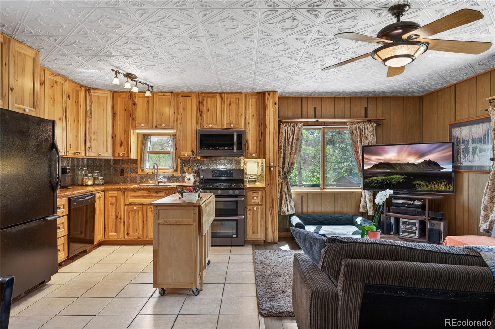 MLS Image #12 for 256  houston street,bailey, Colorado