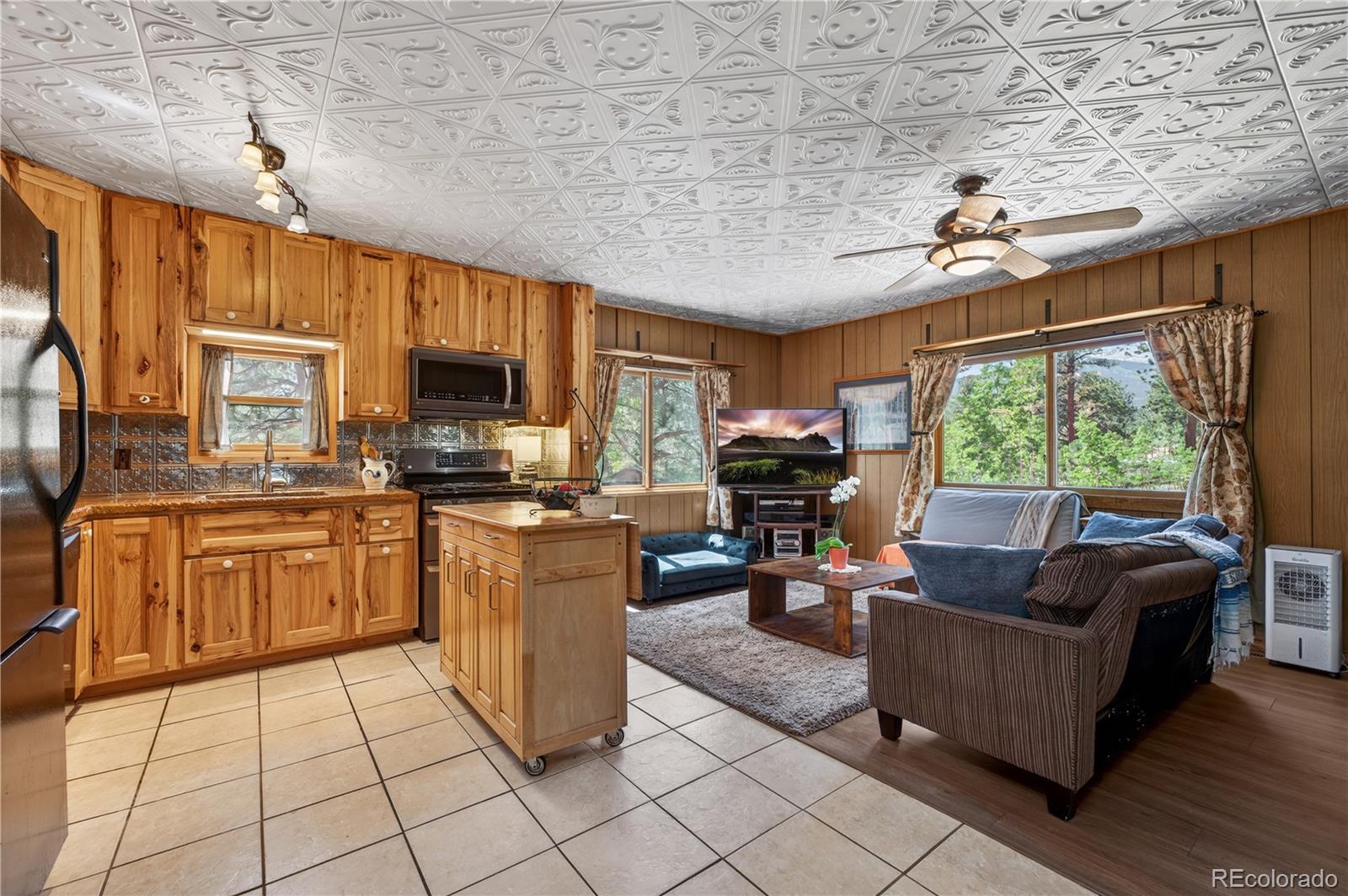 MLS Image #13 for 256  houston street,bailey, Colorado