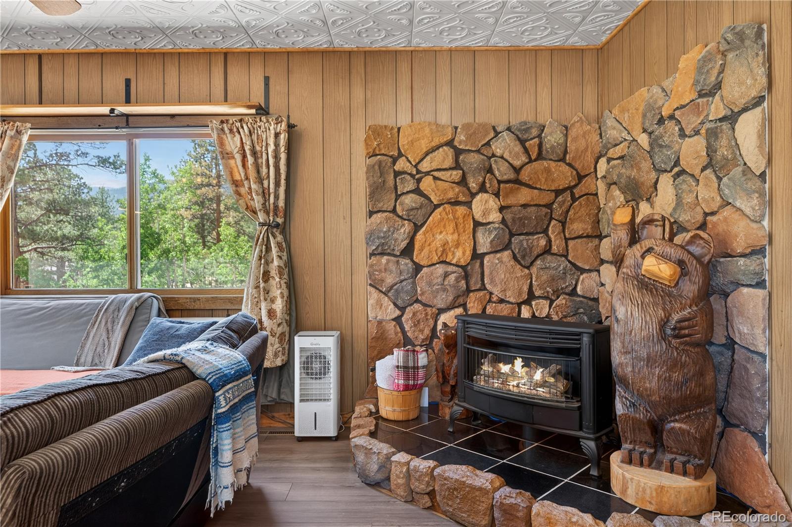 MLS Image #14 for 256  houston street,bailey, Colorado