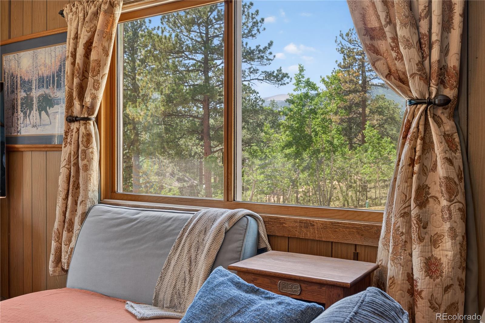 MLS Image #15 for 256  houston street,bailey, Colorado