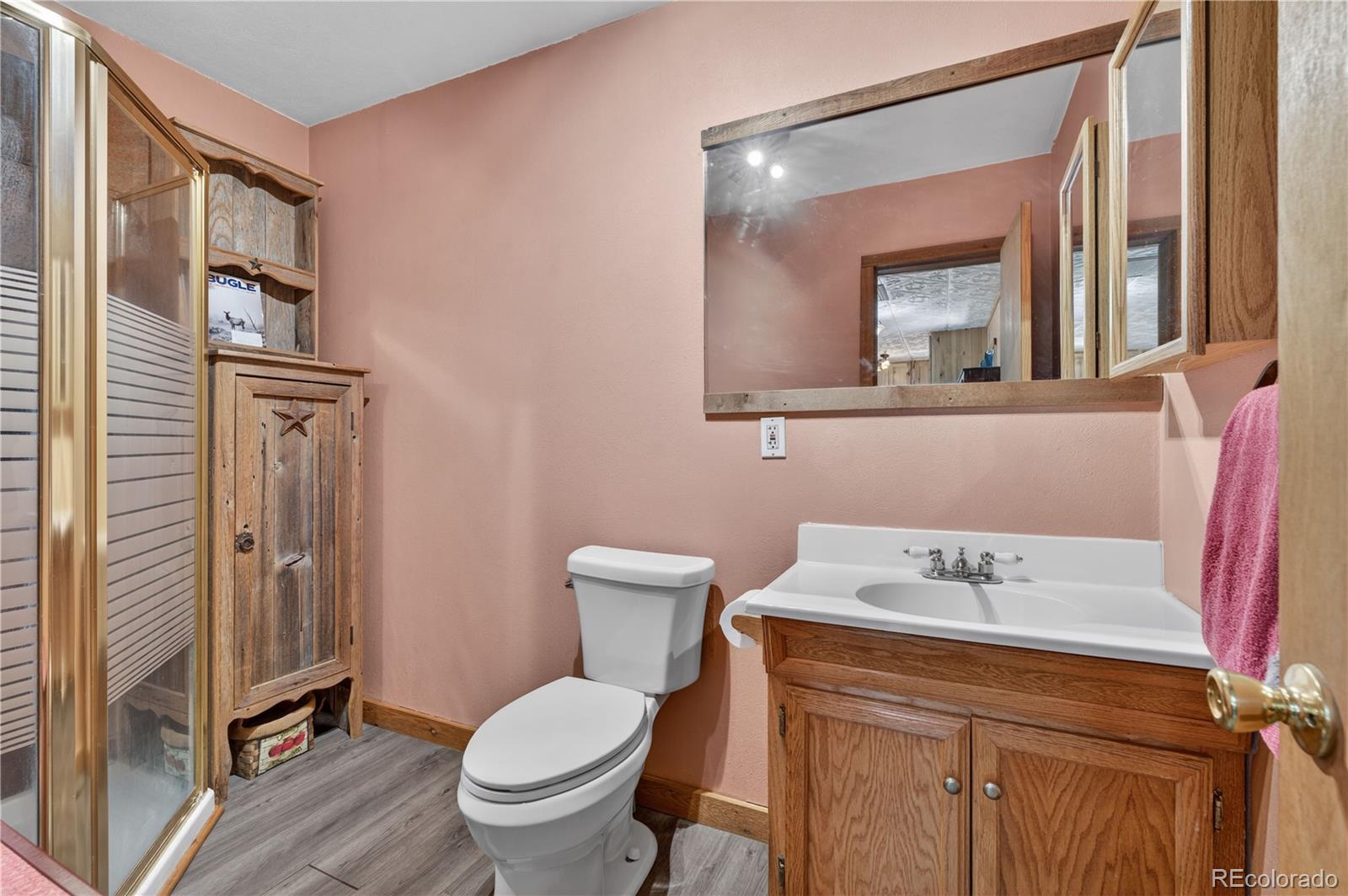 MLS Image #23 for 256  houston street,bailey, Colorado