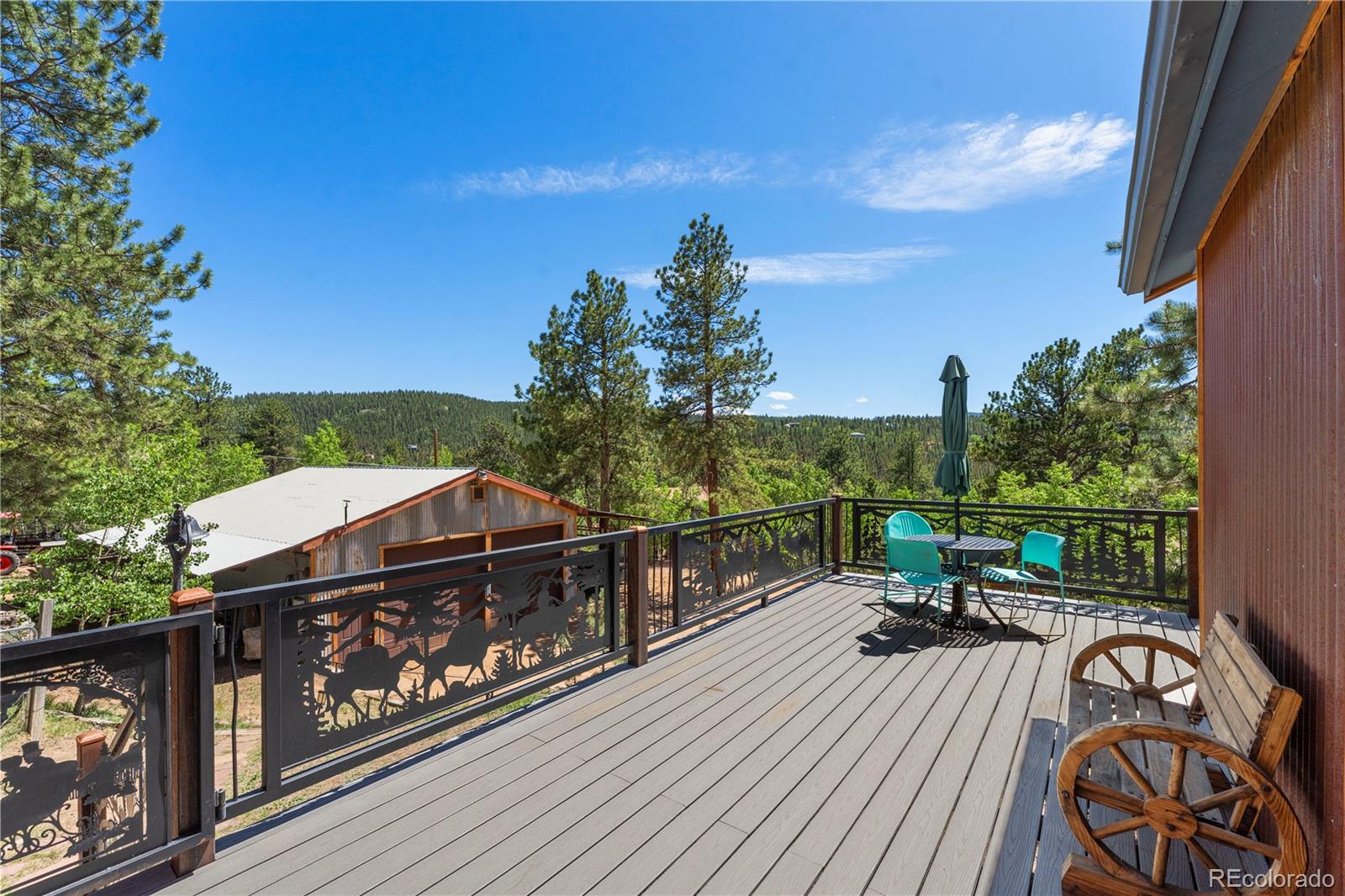 MLS Image #4 for 256  houston street,bailey, Colorado