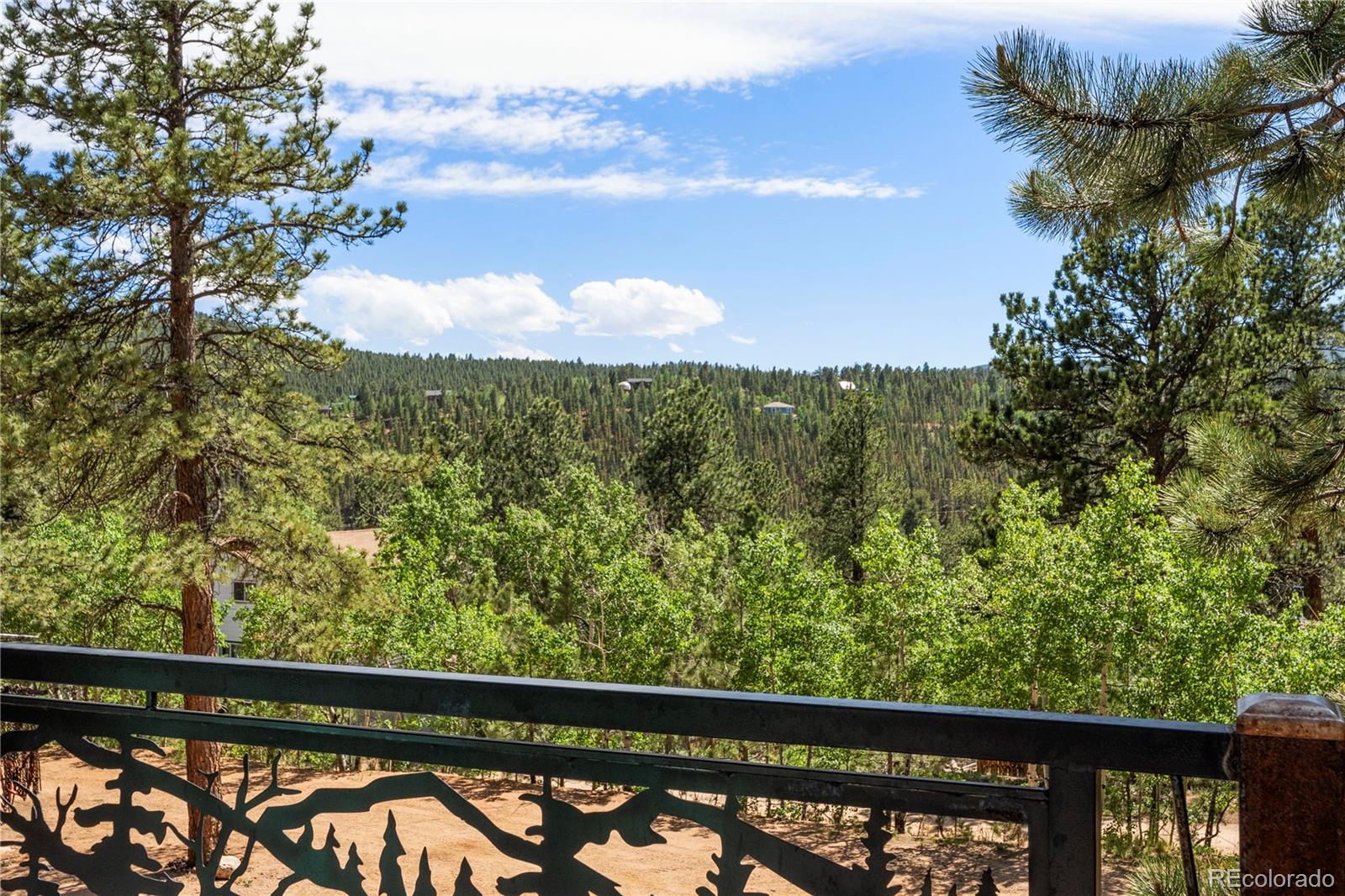 MLS Image #5 for 256  houston street,bailey, Colorado