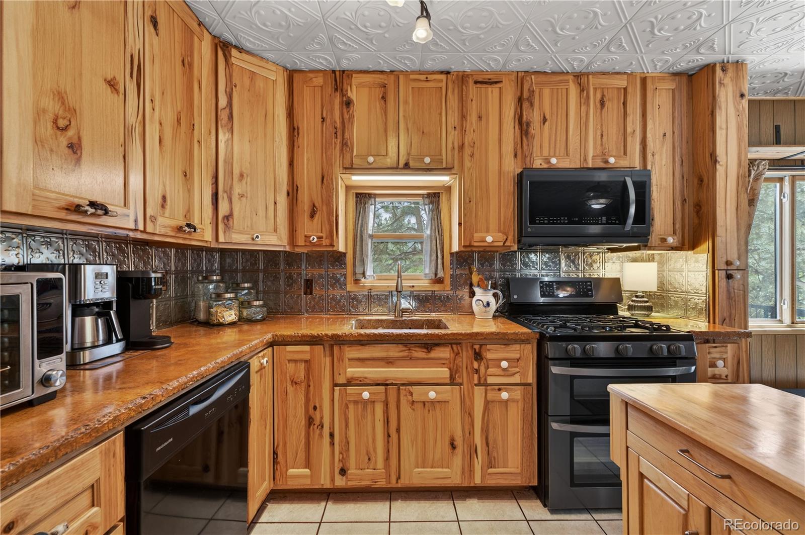 MLS Image #7 for 256  houston street,bailey, Colorado