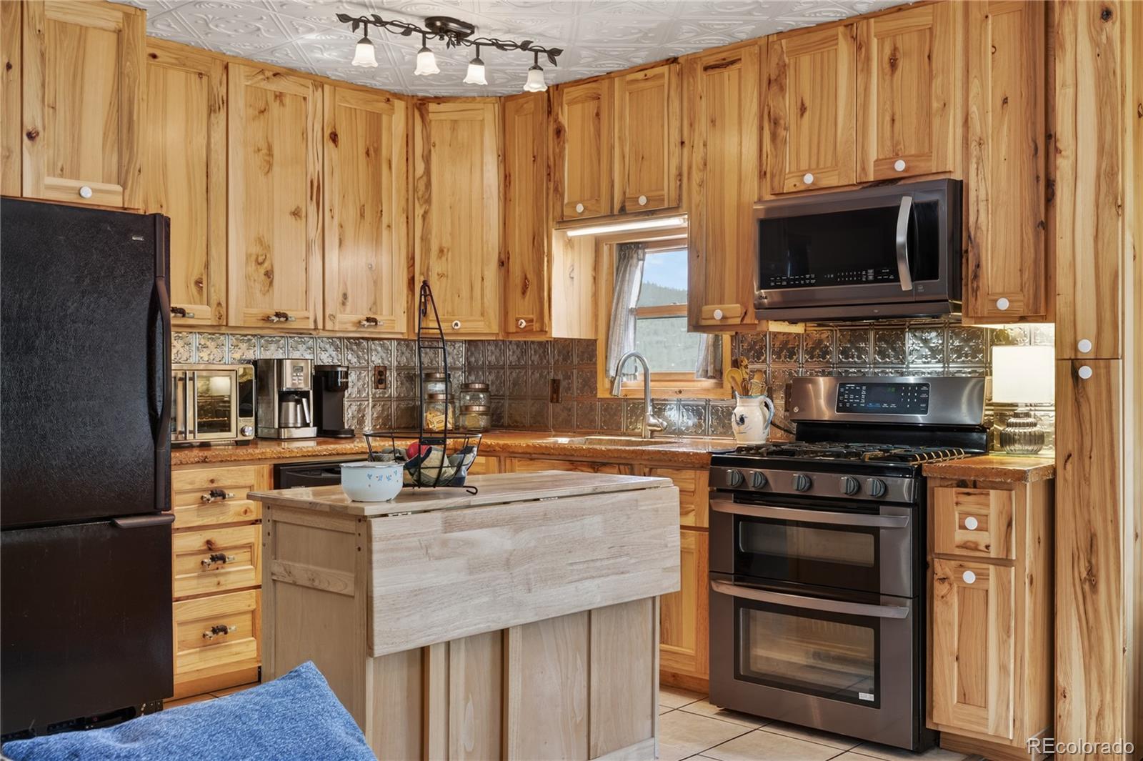 MLS Image #9 for 256  houston street,bailey, Colorado