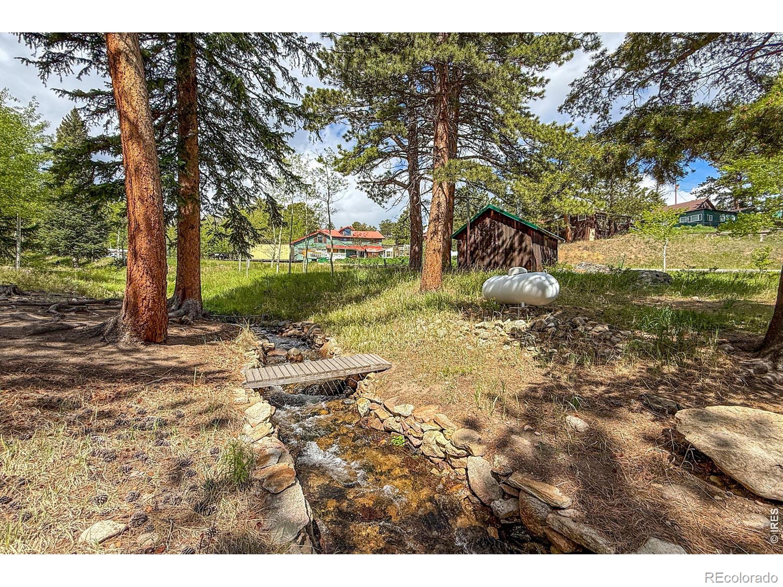 MLS Image #1 for 412  highway 7 business ,allenspark, Colorado