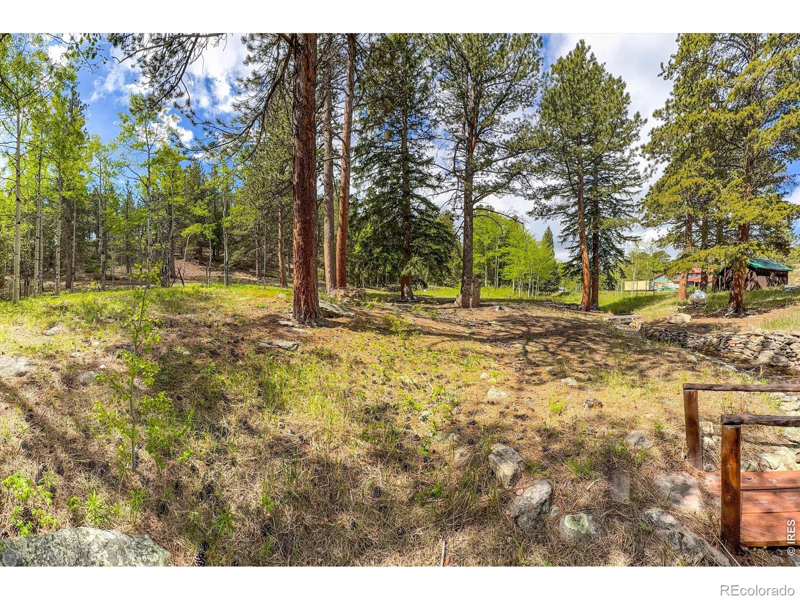 MLS Image #10 for 412  highway 7 business ,allenspark, Colorado