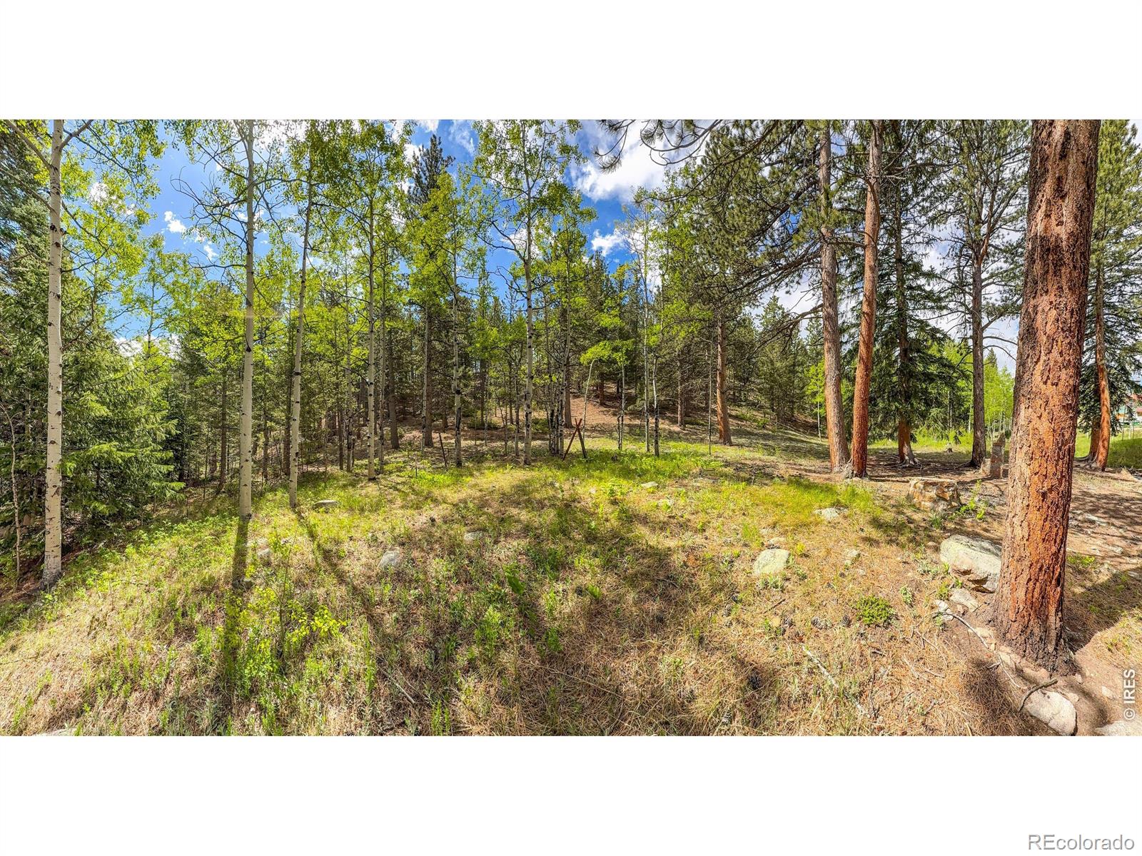 MLS Image #11 for 412  highway 7 business ,allenspark, Colorado