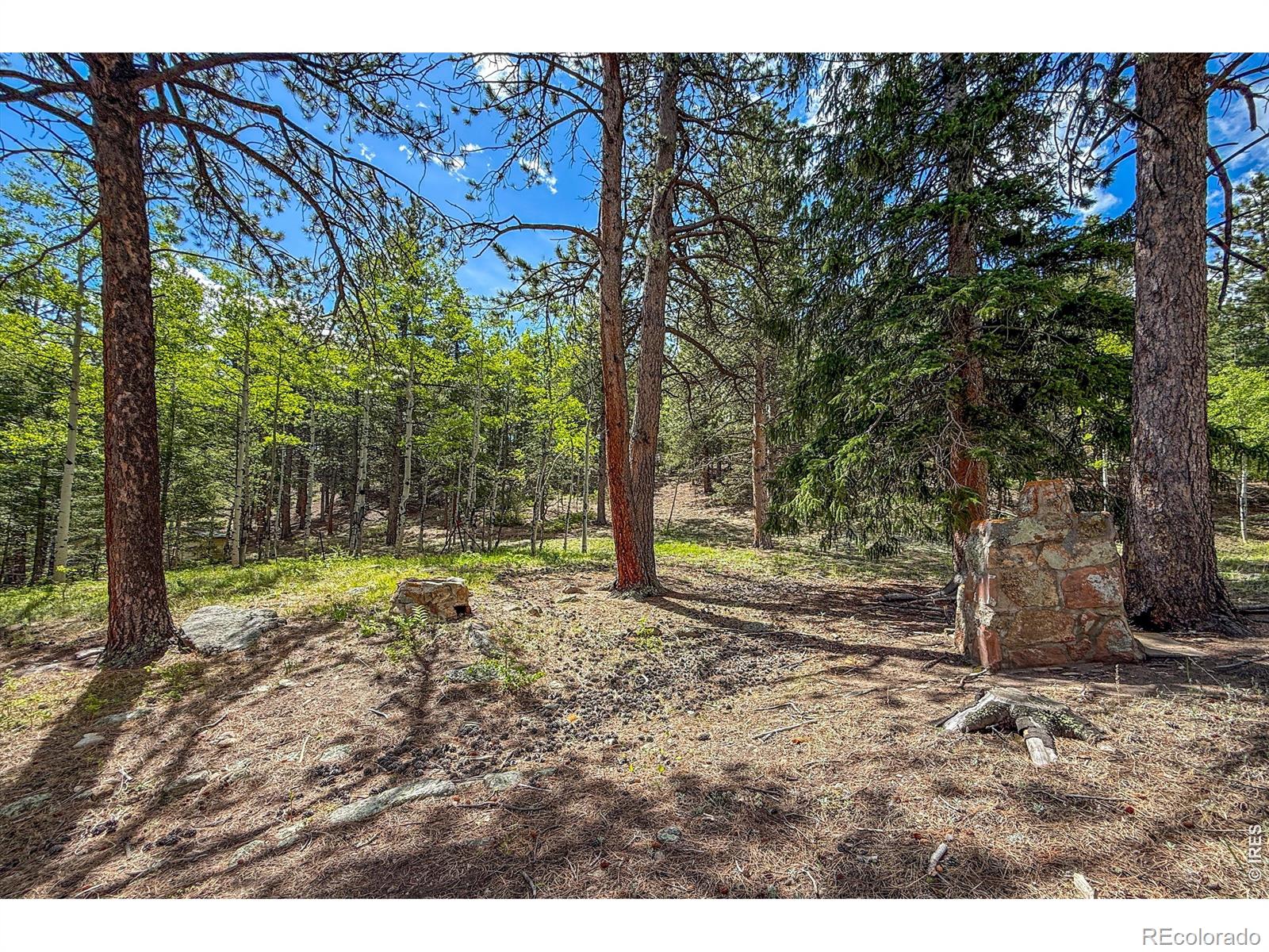 MLS Image #8 for 412  highway 7 business ,allenspark, Colorado