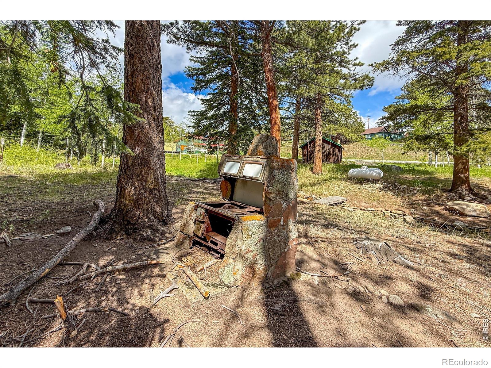MLS Image #9 for 412  highway 7 business ,allenspark, Colorado