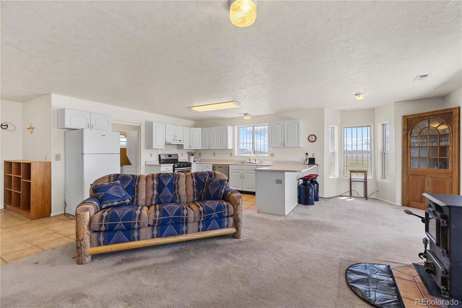 MLS Image #10 for 1421  larimer road,hartsel, Colorado