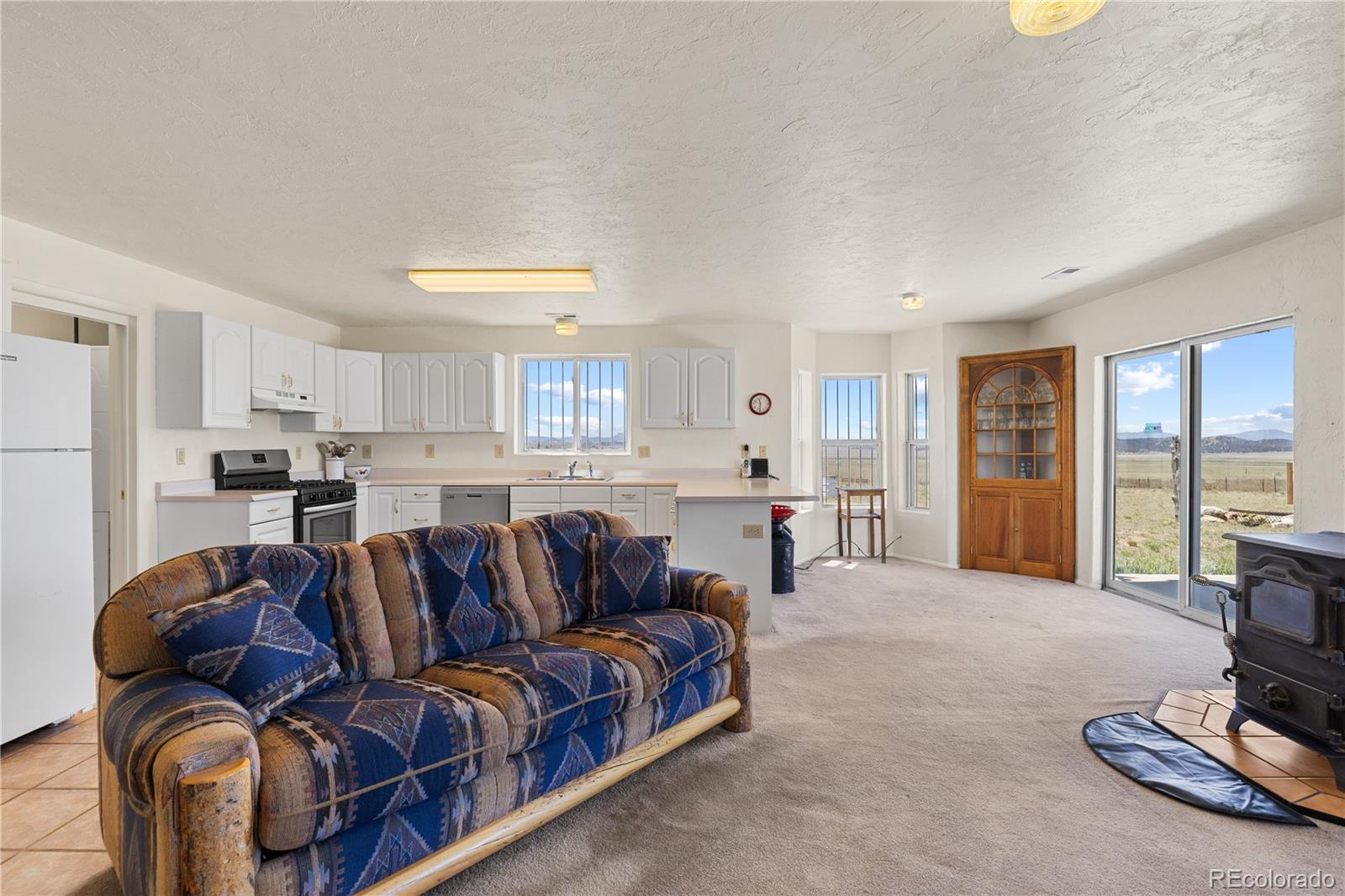 MLS Image #11 for 1421  larimer road,hartsel, Colorado