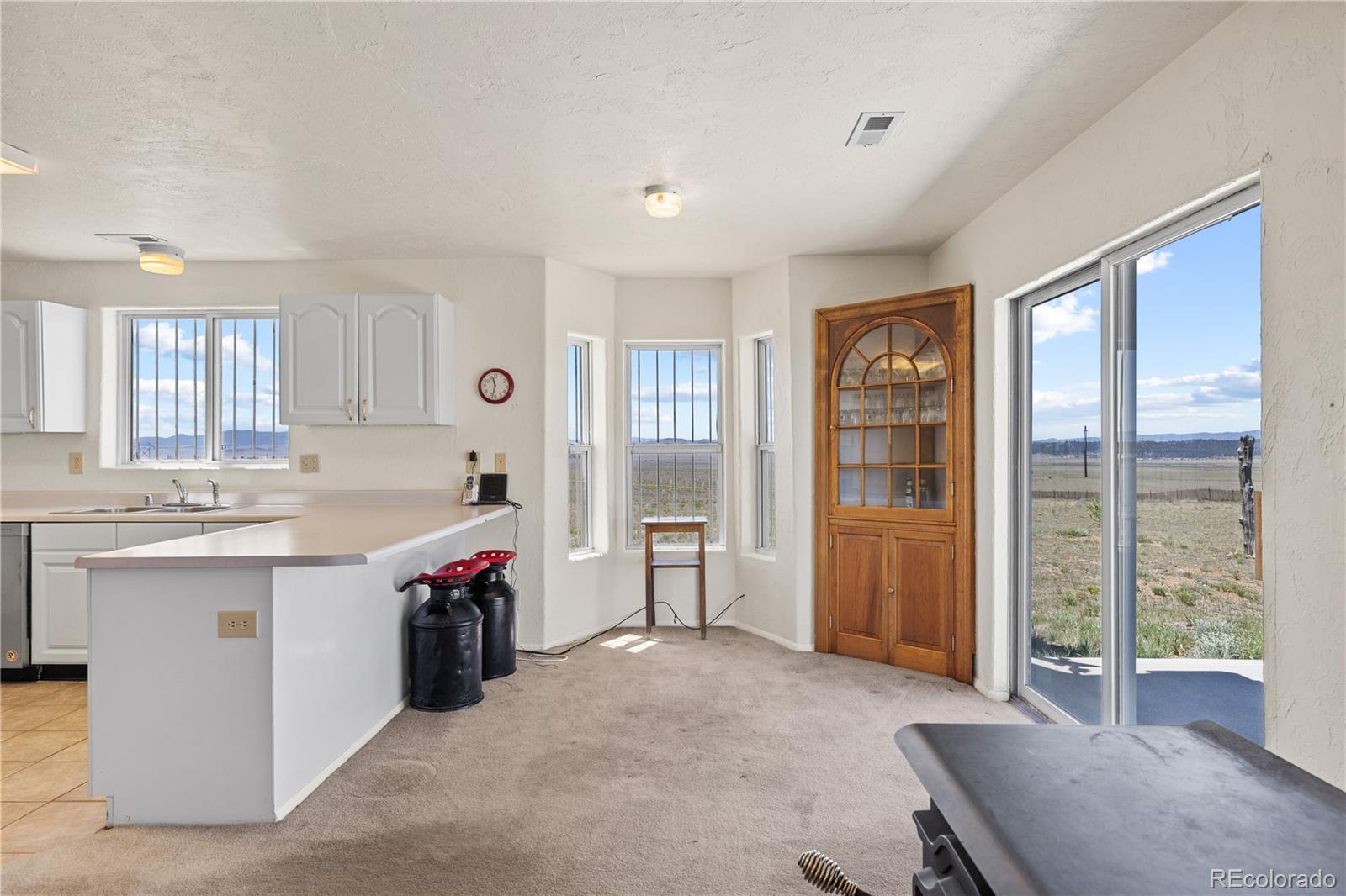 MLS Image #14 for 1421  larimer road,hartsel, Colorado