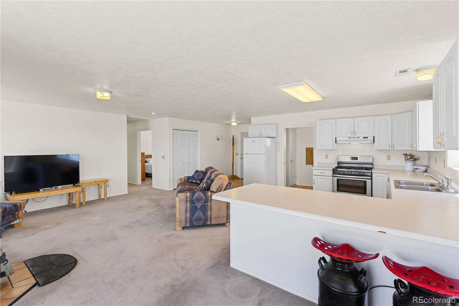 MLS Image #15 for 1421  larimer road,hartsel, Colorado