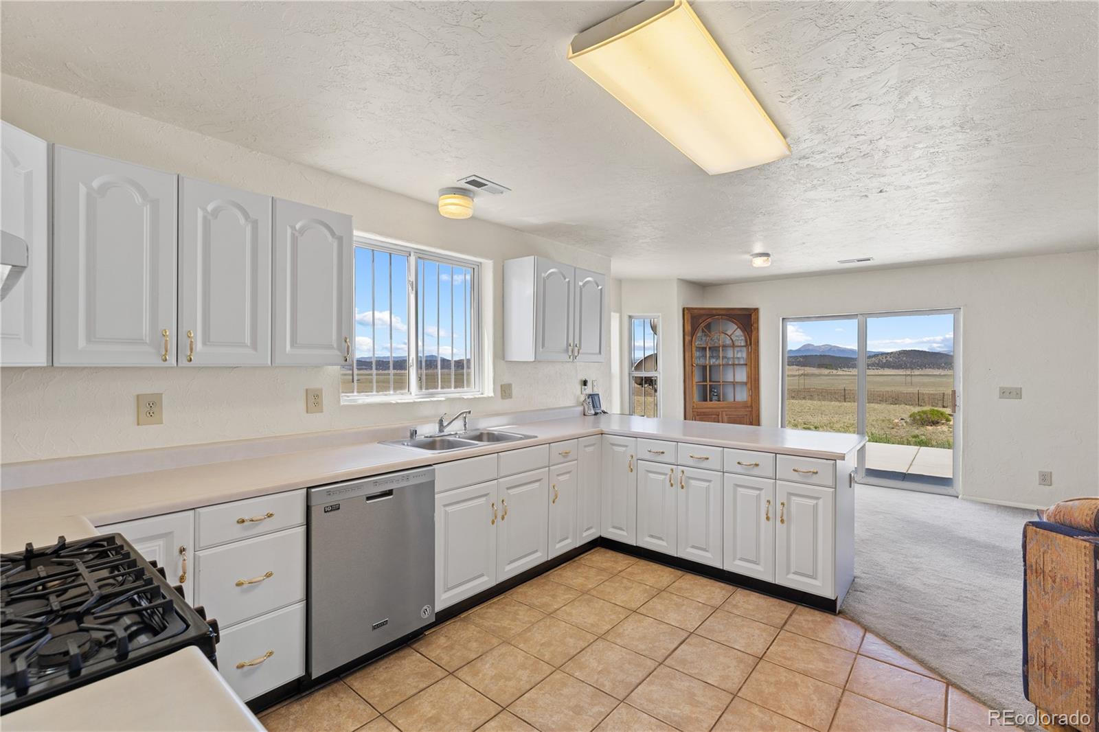 MLS Image #19 for 1421  larimer road,hartsel, Colorado