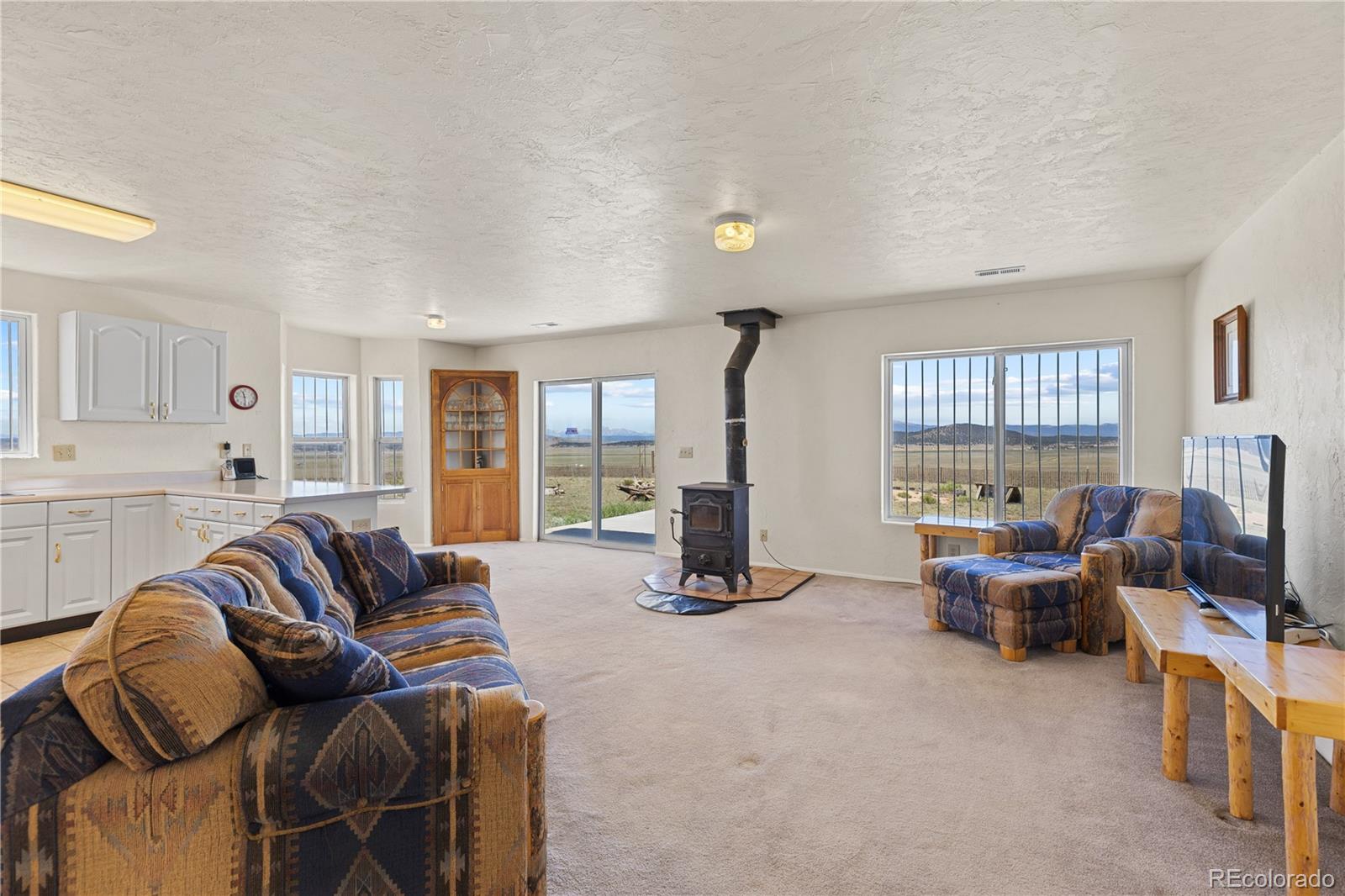 MLS Image #4 for 1421  larimer road,hartsel, Colorado