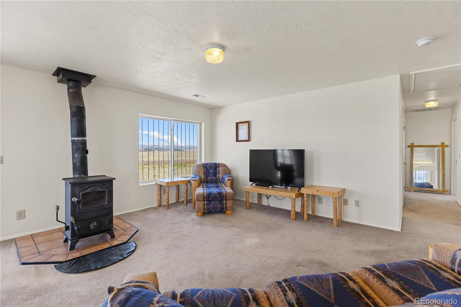 MLS Image #7 for 1421  larimer road,hartsel, Colorado