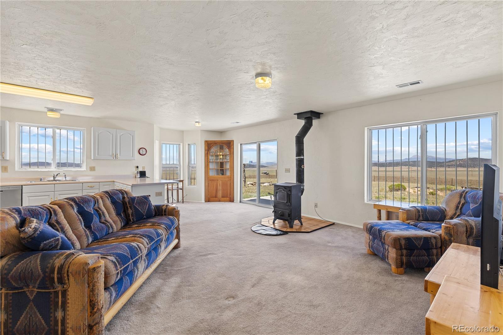MLS Image #9 for 1421  larimer road,hartsel, Colorado