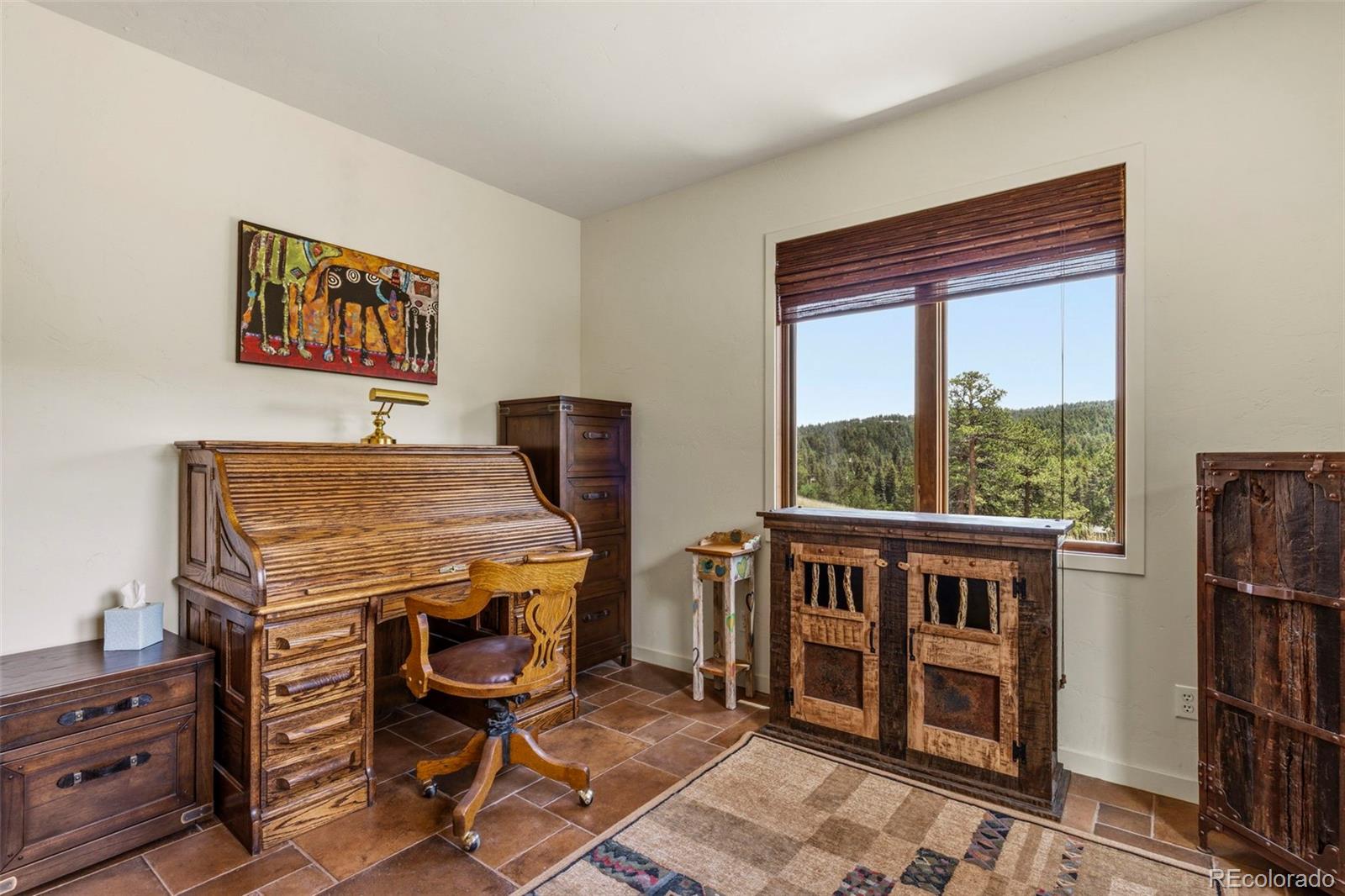 MLS Image #23 for 28098  green valley lane,conifer, Colorado