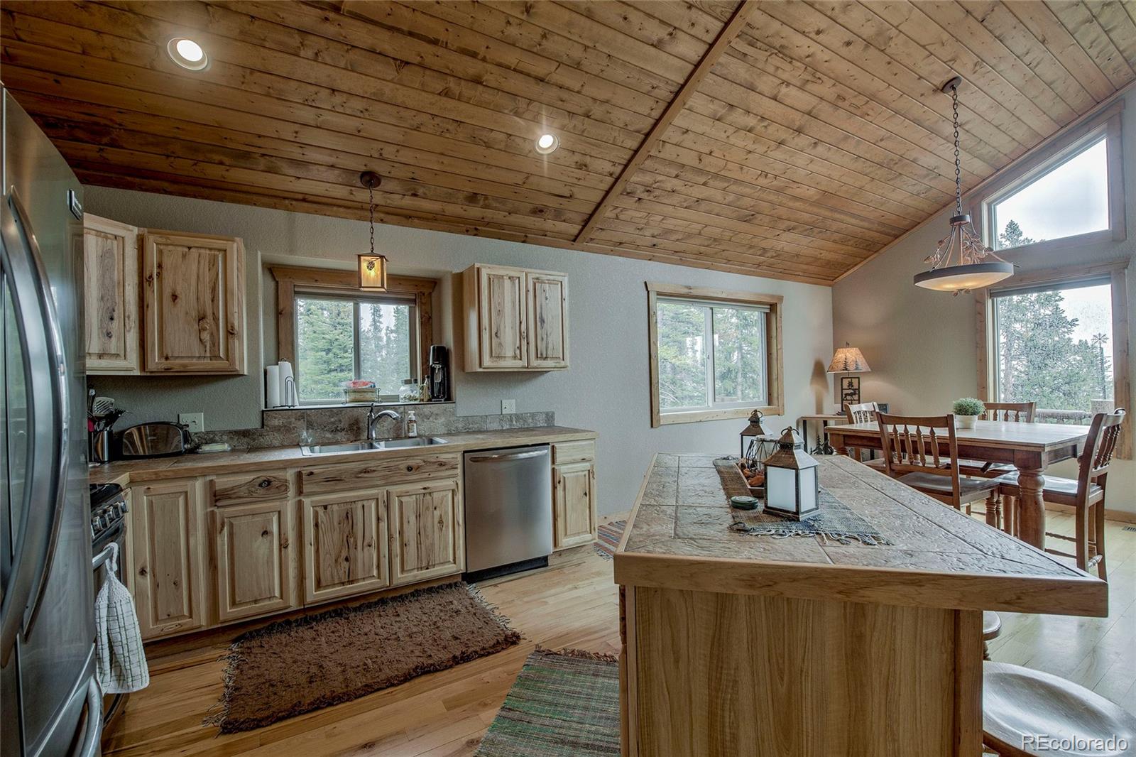 MLS Image #12 for 566  miners way,fairplay, Colorado