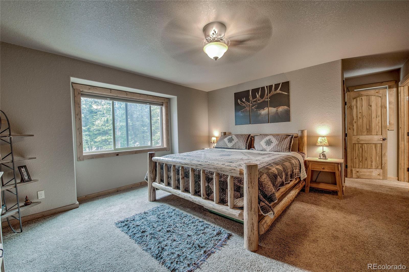 MLS Image #13 for 566  miners way,fairplay, Colorado